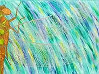 Dragonfly - Click for enlarged view